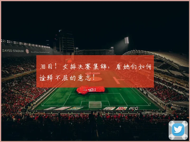 泪目！女排决赛集锦，看她们如何诠释不屈的意志！
