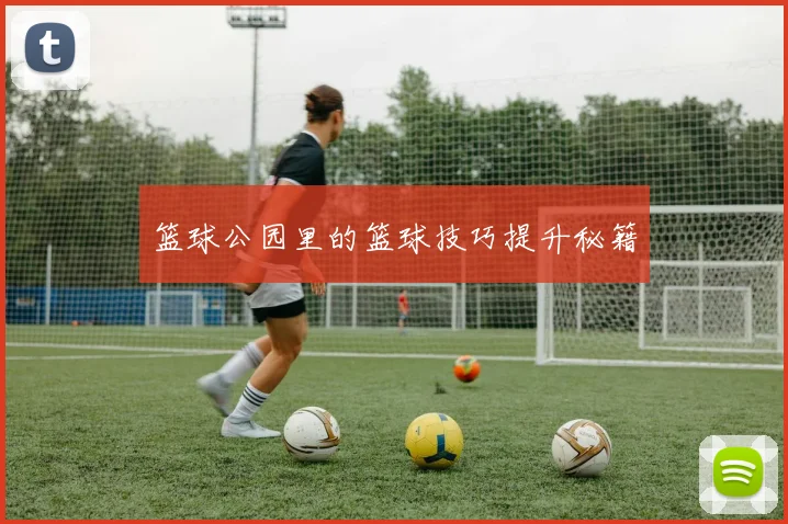 篮球公园里的篮球技巧提升秘籍